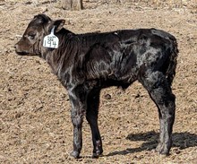 LL RURAL ROUTE 20
